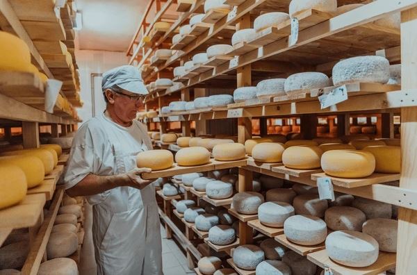 man with rows of cheese around him