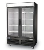 2 door display freezer